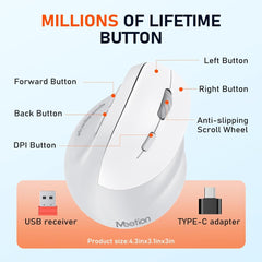 Meetion MT-BTM010R Δεξί Εργονομικό Ασύρματο Ποντίκι Λευκό + Γκρι