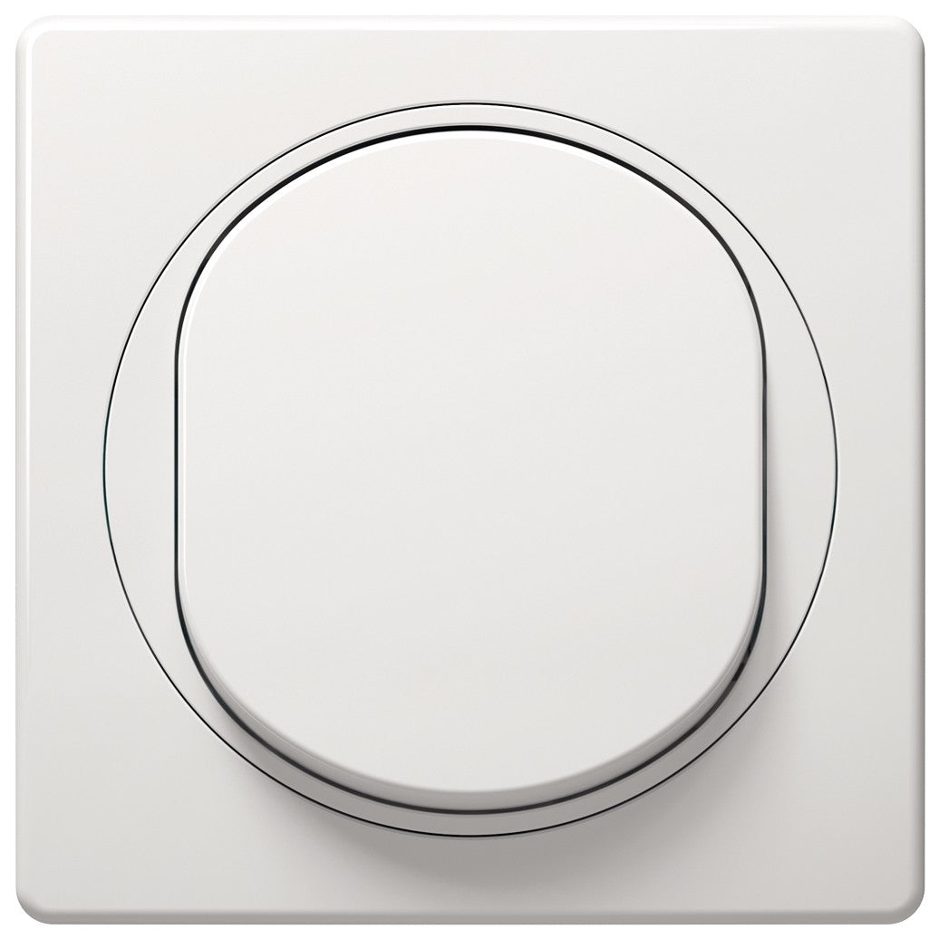 EON Single Pole Switch White