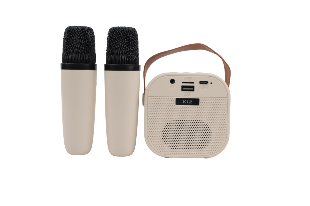 ATC-13 Ασύρματο Ηχείο Καραόκε με 2 Μικρόφωνα 5W RGB